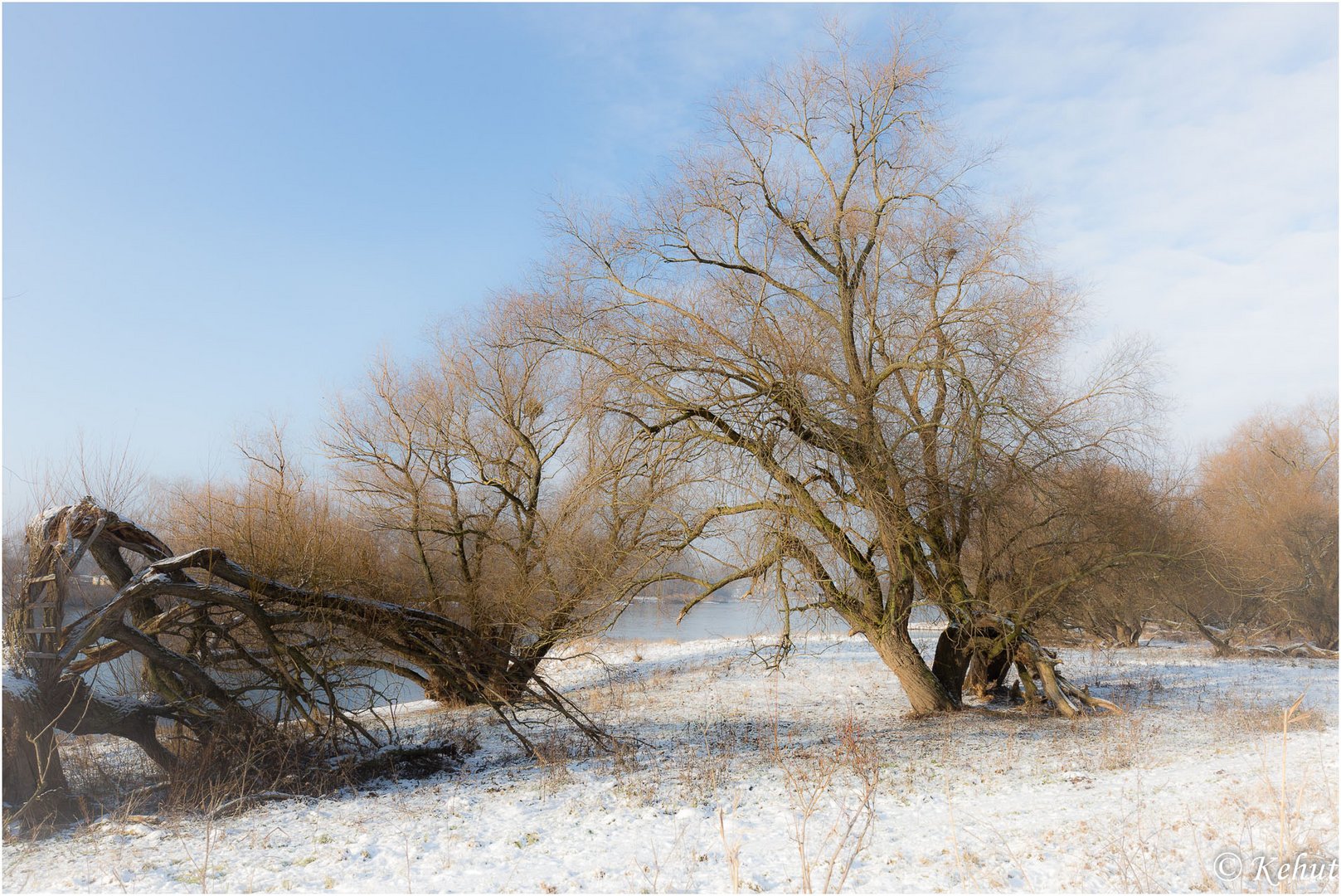 Sonniger Wintertag ...