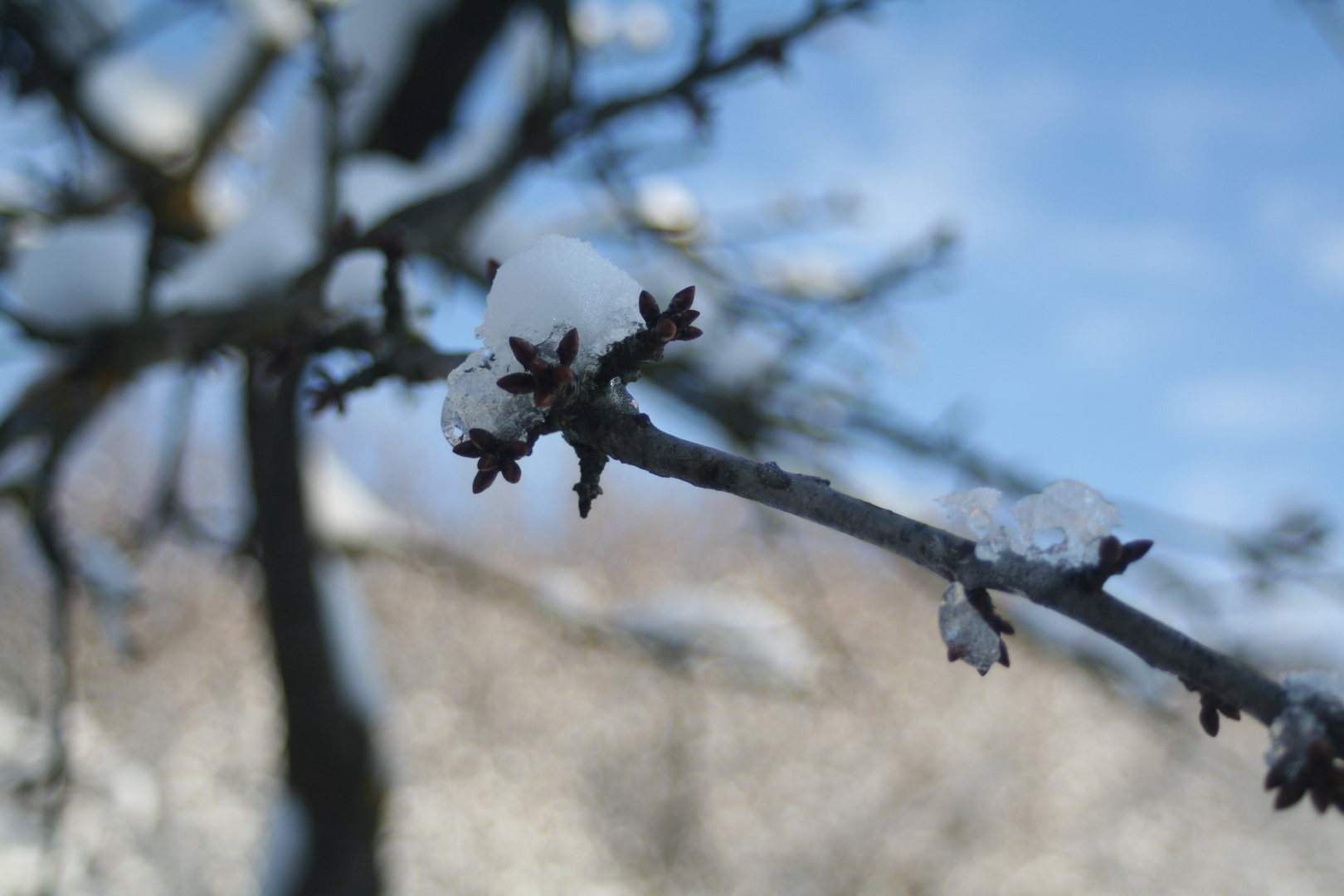 sonniger Wintertag