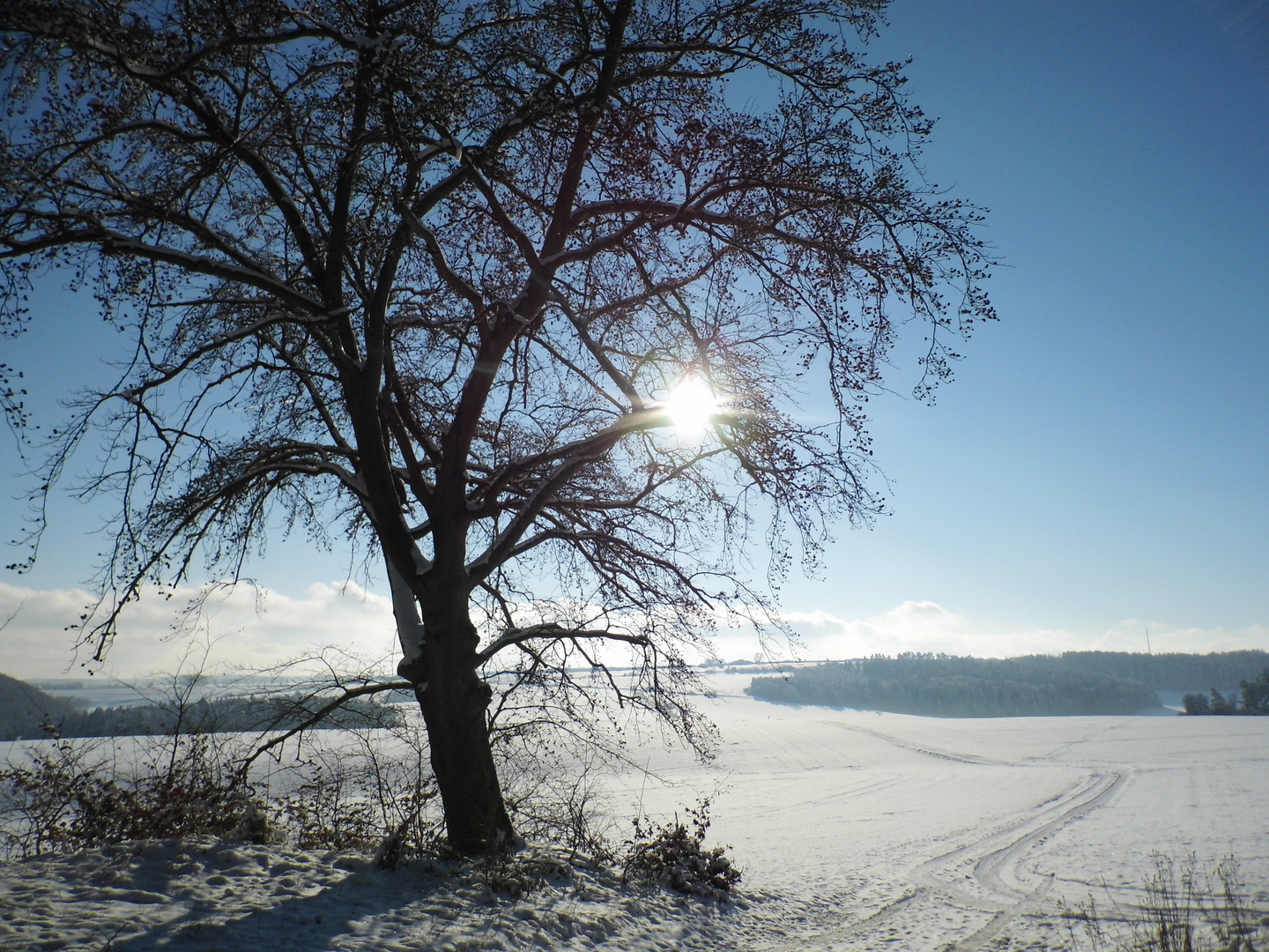 Sonniger Wintertag