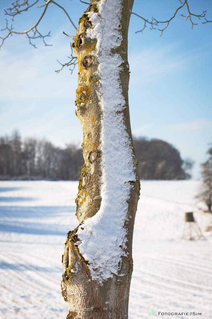 sonniger Wintertag