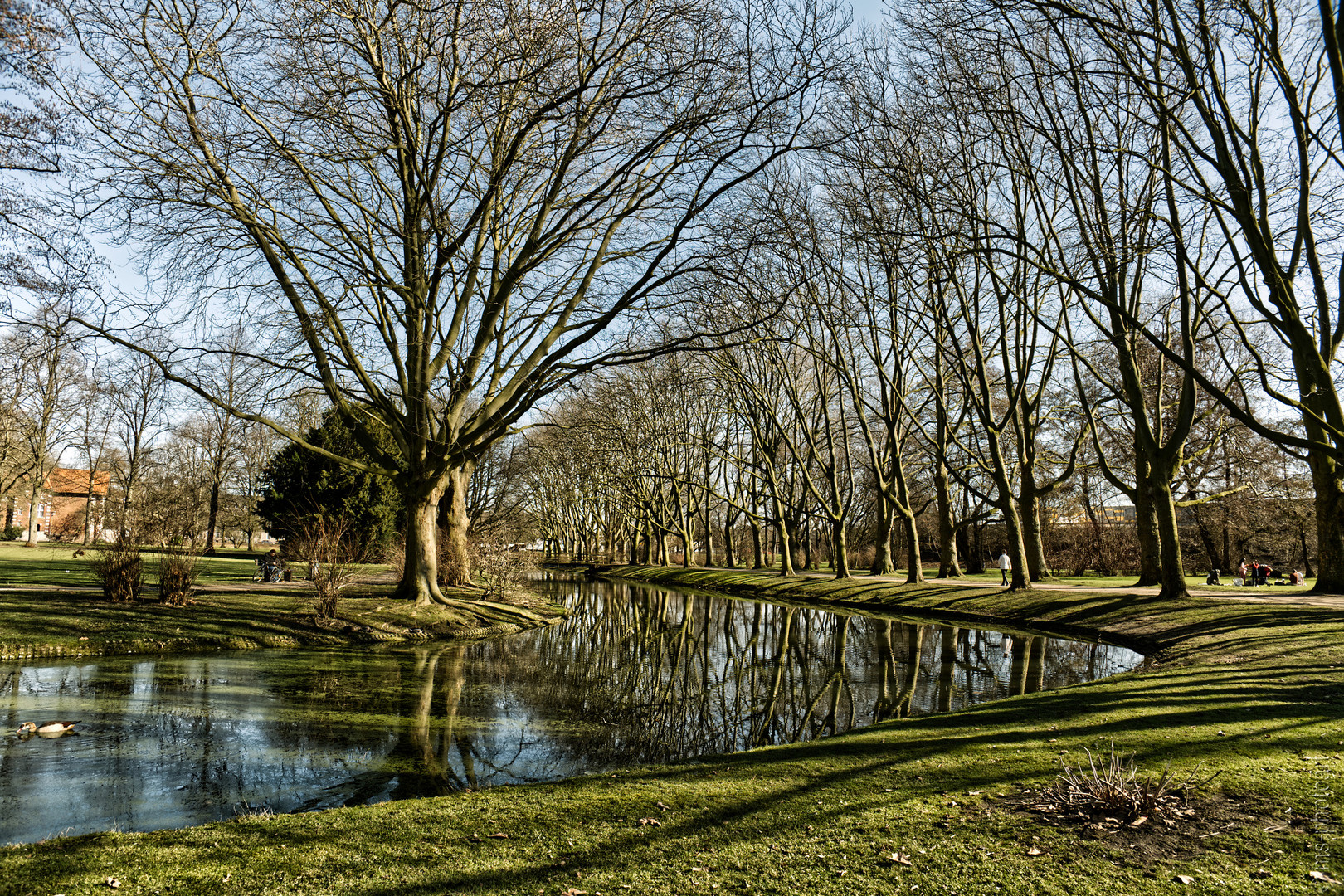 Sonniger Wintertag