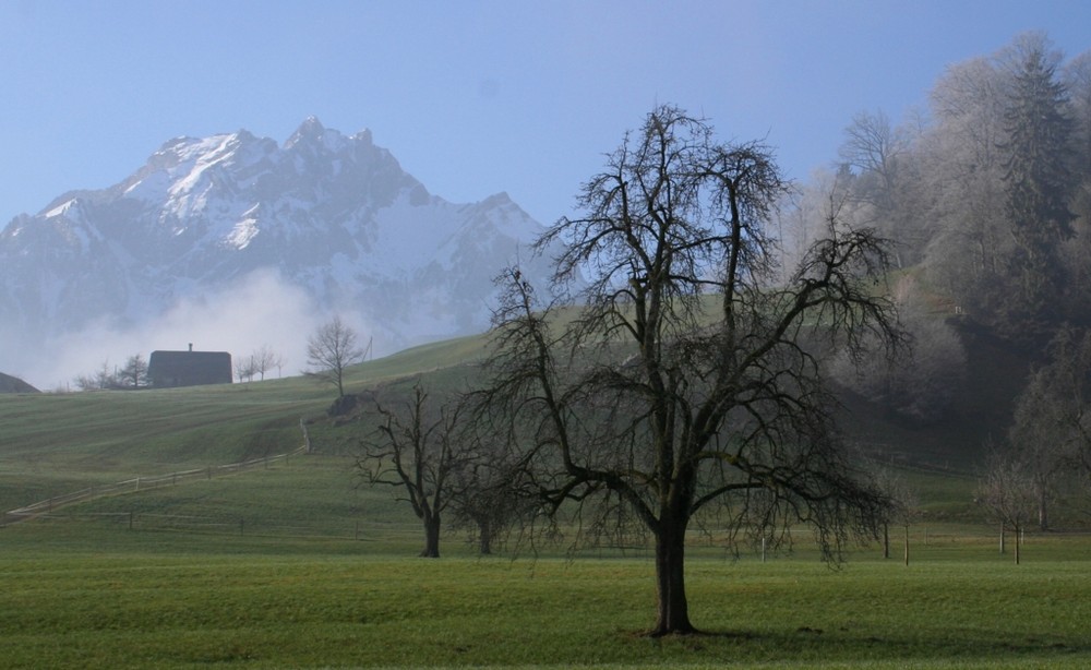 sonniger Wintertag