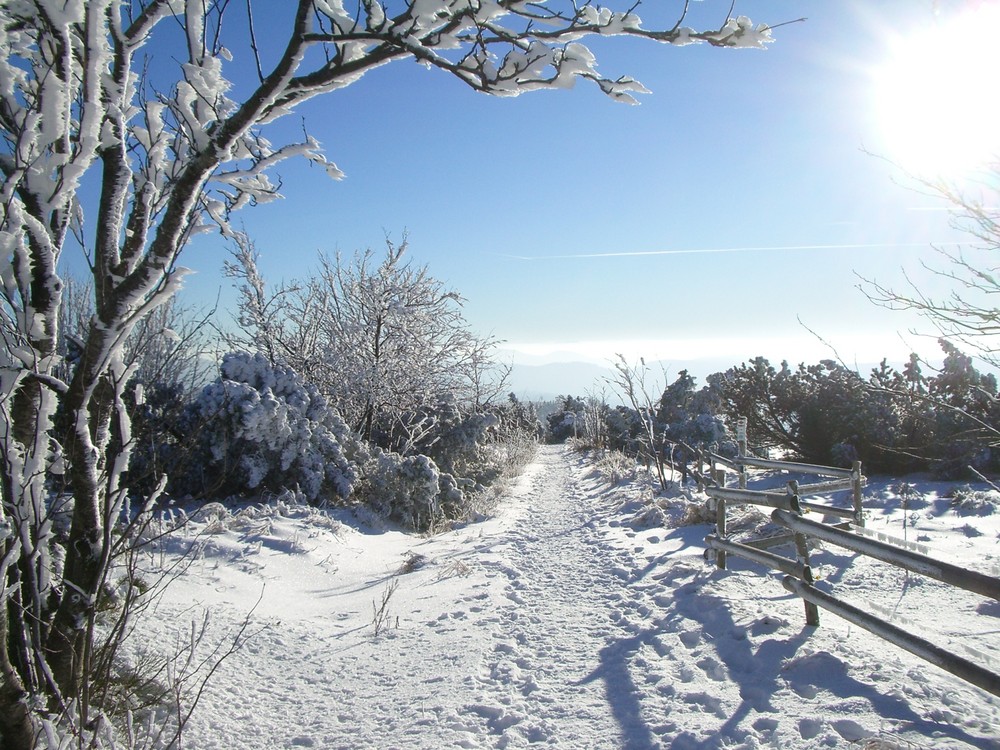 sonniger Wintertag