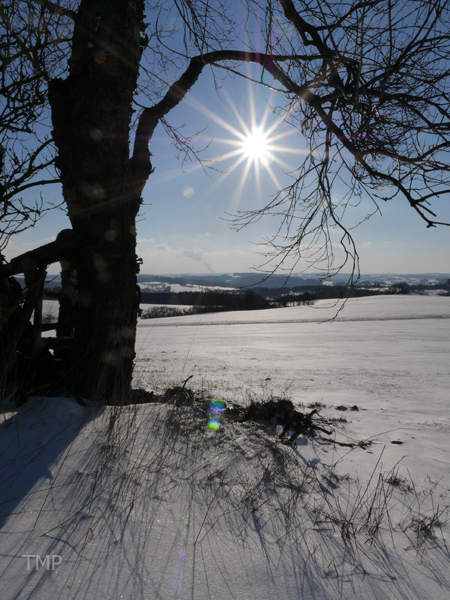 Sonniger Wintertag