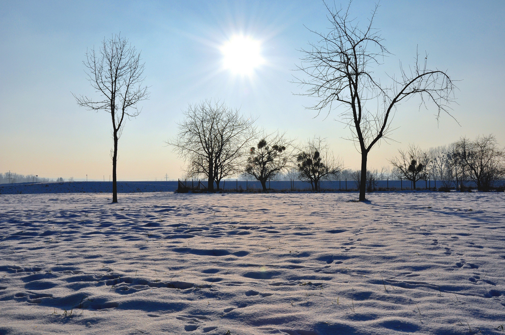 sonniger Wintertag