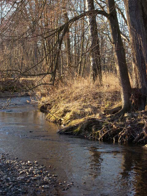 sonniger wintertag