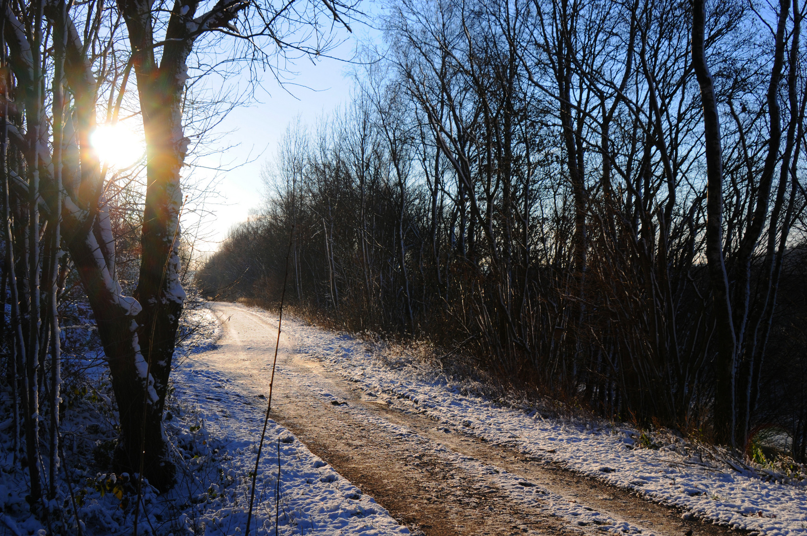 Sonniger Wintertag