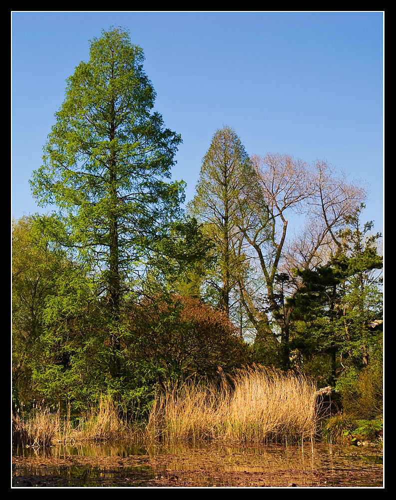 sonniger Wintertag im Moor