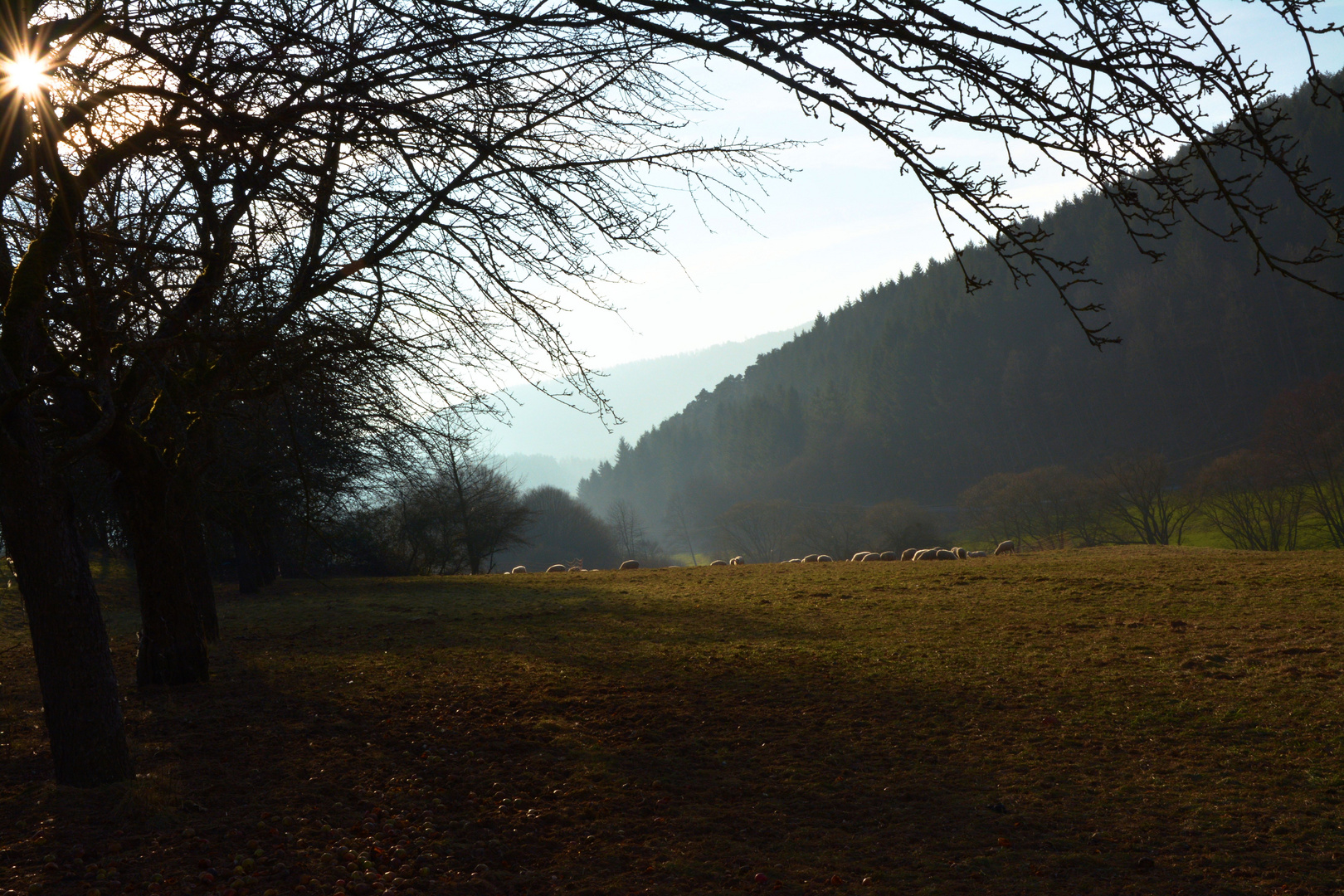 Sonniger Wintertag ohne Schnee