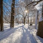 Sonniger Winterweg im Park