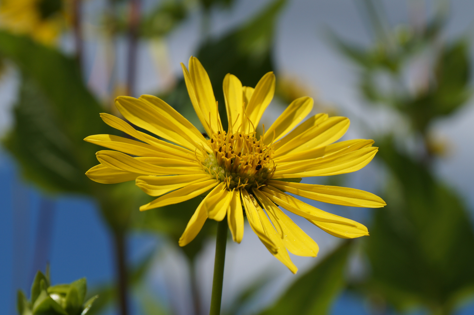 sonniger Wochenbeginn...