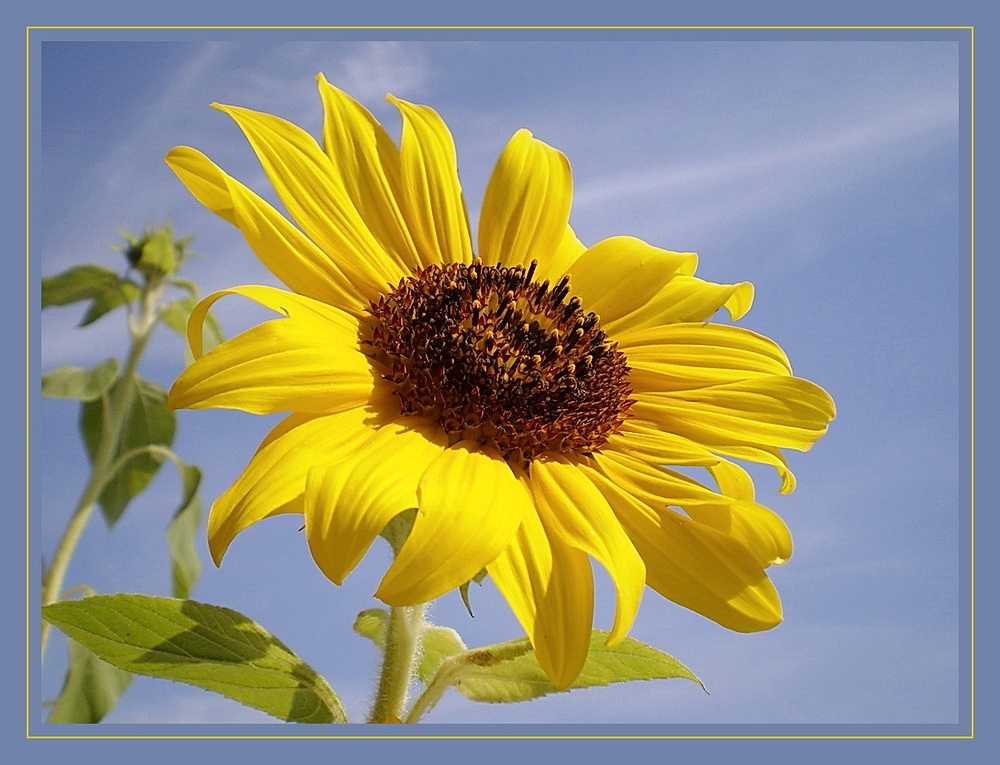 Sonniger Wochenendgruß