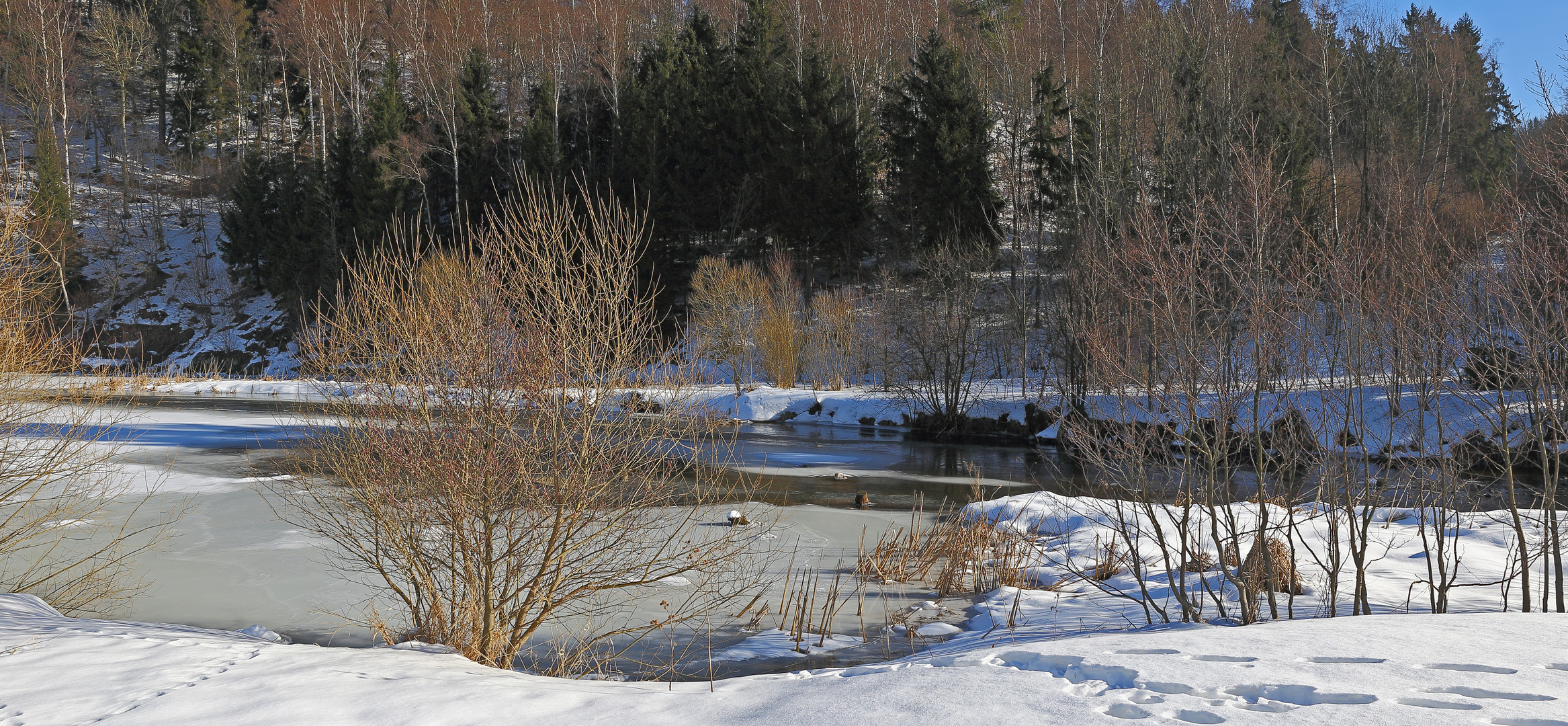 Sonniger Zufluß der Weißen Müglitz in den Lauensteiner Rückhaltespeicher im Wnter