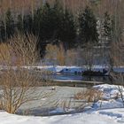 Sonniger Zufluß der Weißen Müglitz in den Lauensteiner Rückhaltespeicher im Wnter