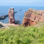 sonniges Helgoland Lange Anna