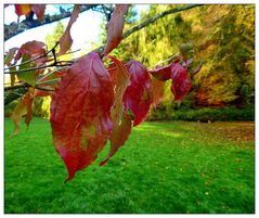 Sonniges Herbstwetter