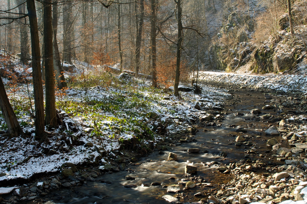 Sonniges Winterwetter im "Rabenauer Grund"