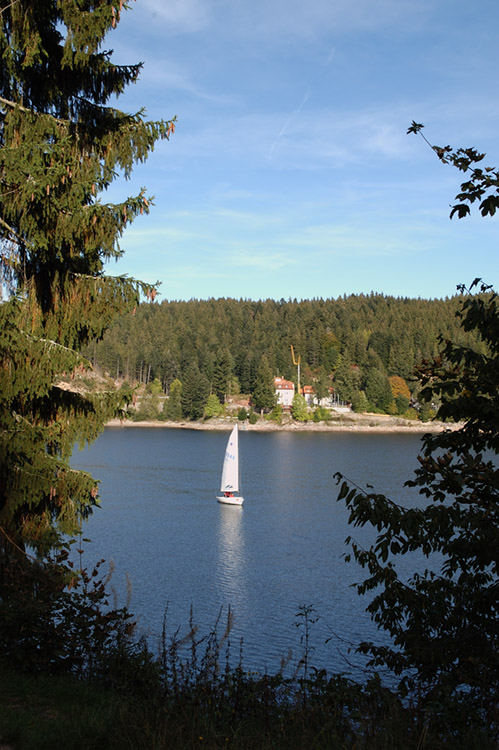 Sonniges Wochenende am Schluchsee