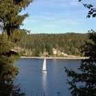 Sonniges Wochenende am Schluchsee