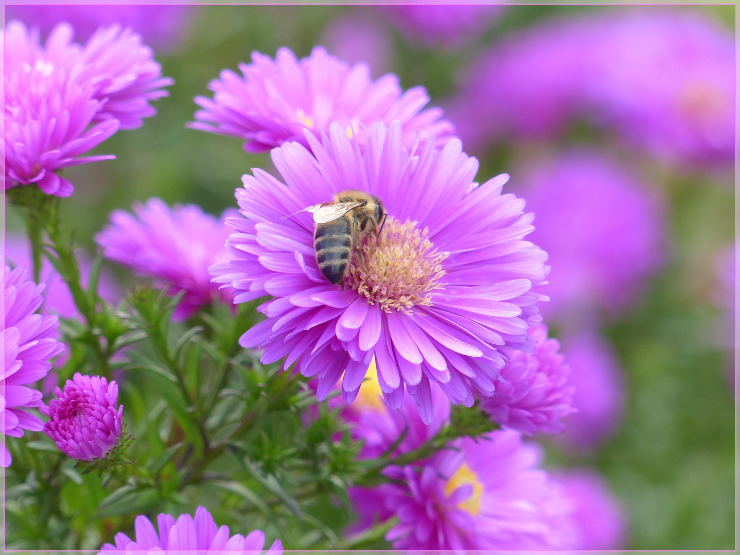 ** sonniges Wochenende **