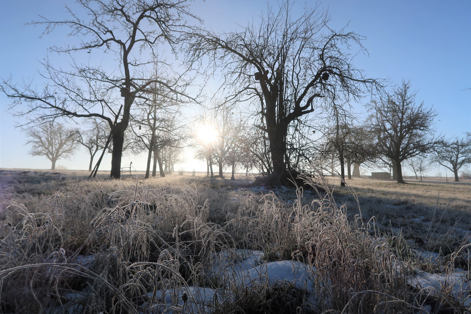 Sonnigfrostiger Wintermorgen 