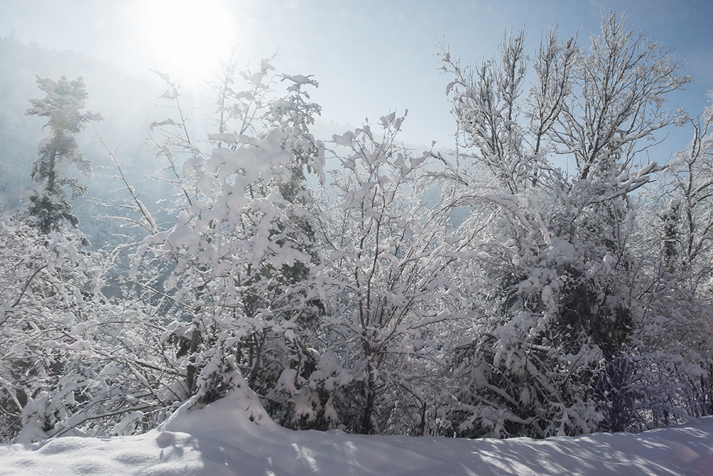 Sonnne und Schnee_Heinz Schaub