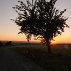 Sonnnenuntergang hinter Osthausen