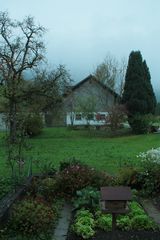 SONNTÄGLICHER MITTAGS-HERBSTNEBEL