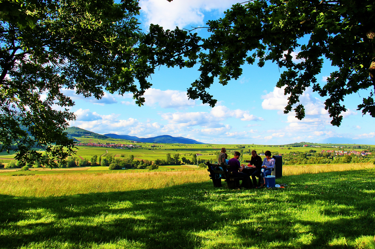 Sonntägliches Familienpicnic