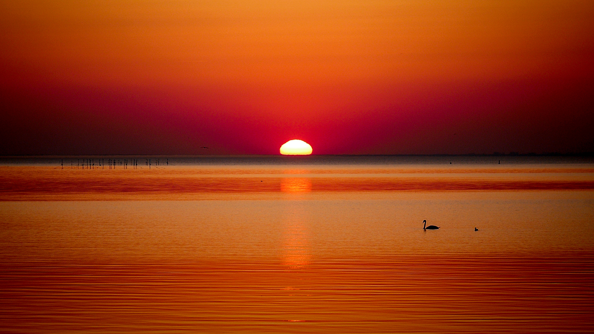 Sonntag Foto & Bild deutschland, europe, mecklenburg vorpommern