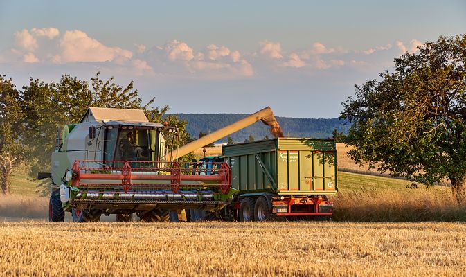 Sonntag 14.07.2025 begann die Getreideernte vor meiner Haustür, habe das ganze bis zum...