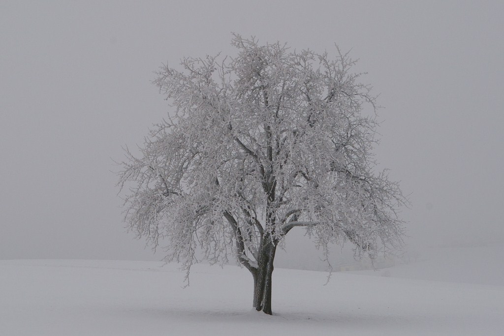 Sonntag, 20.01.2013 um 14Uhr45 bei windig-düsteren Wetter