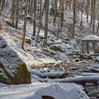 Sonntag 21.01.2024 war es traumhaft schön in der verschneiten Karlstalschlucht, am Montag...