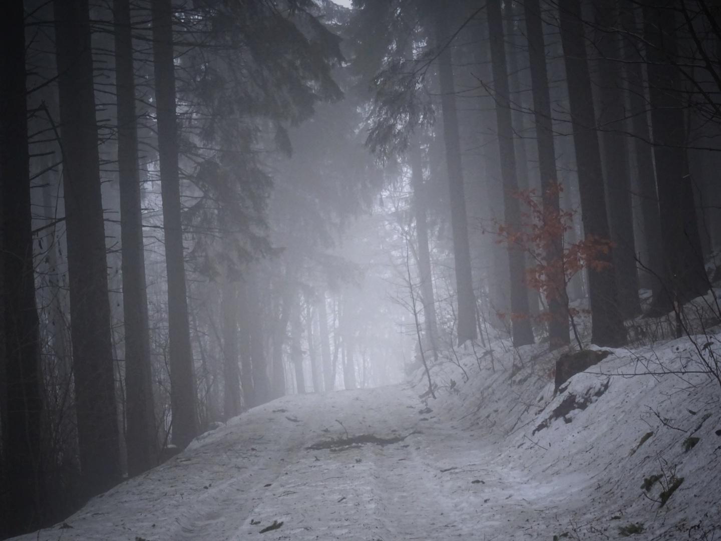 Sonntag... Foto & Bild landschaft, jahreszeiten, winter Bilder auf