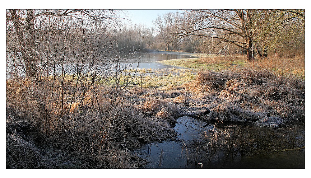 Sonntag - 27.12.2009 - Blauer Himmel und Raureif