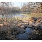 Sonntag - 27.12.2009 - Blauer Himmel und Raureif