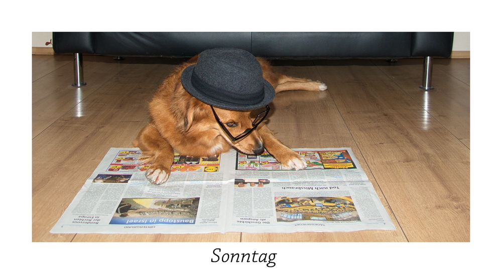 Sonntag