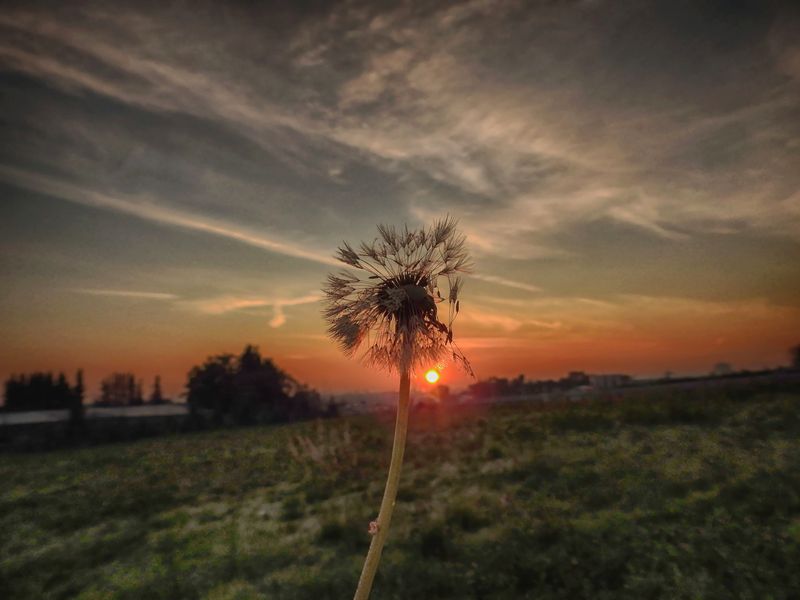 Sonntag ...