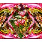 Sonntag abstrakt - Rosa Blütentraum