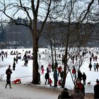 Sonntag auf dem Eis