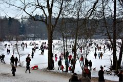 Sonntag auf dem Eis