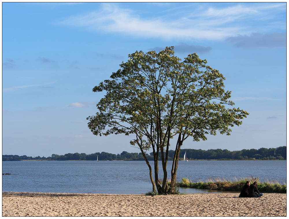 Sonntag, Elbe, Sonnenschein