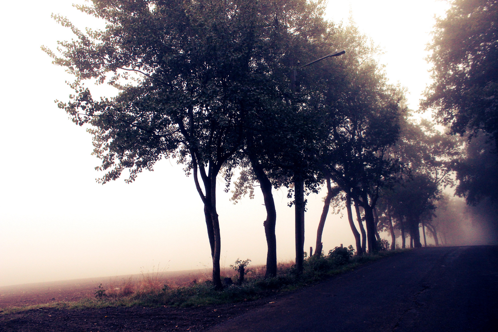 Sonntag früh bei Nebel