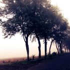 Sonntag früh bei Nebel