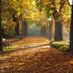 Sonntag Früh im Stadtpark