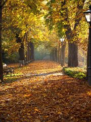 Sonntag Früh im Stadtpark