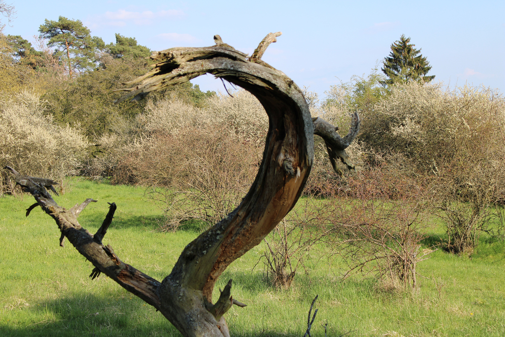 Sonntag im April