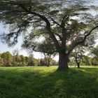 Sonntag Im Englischen Garten