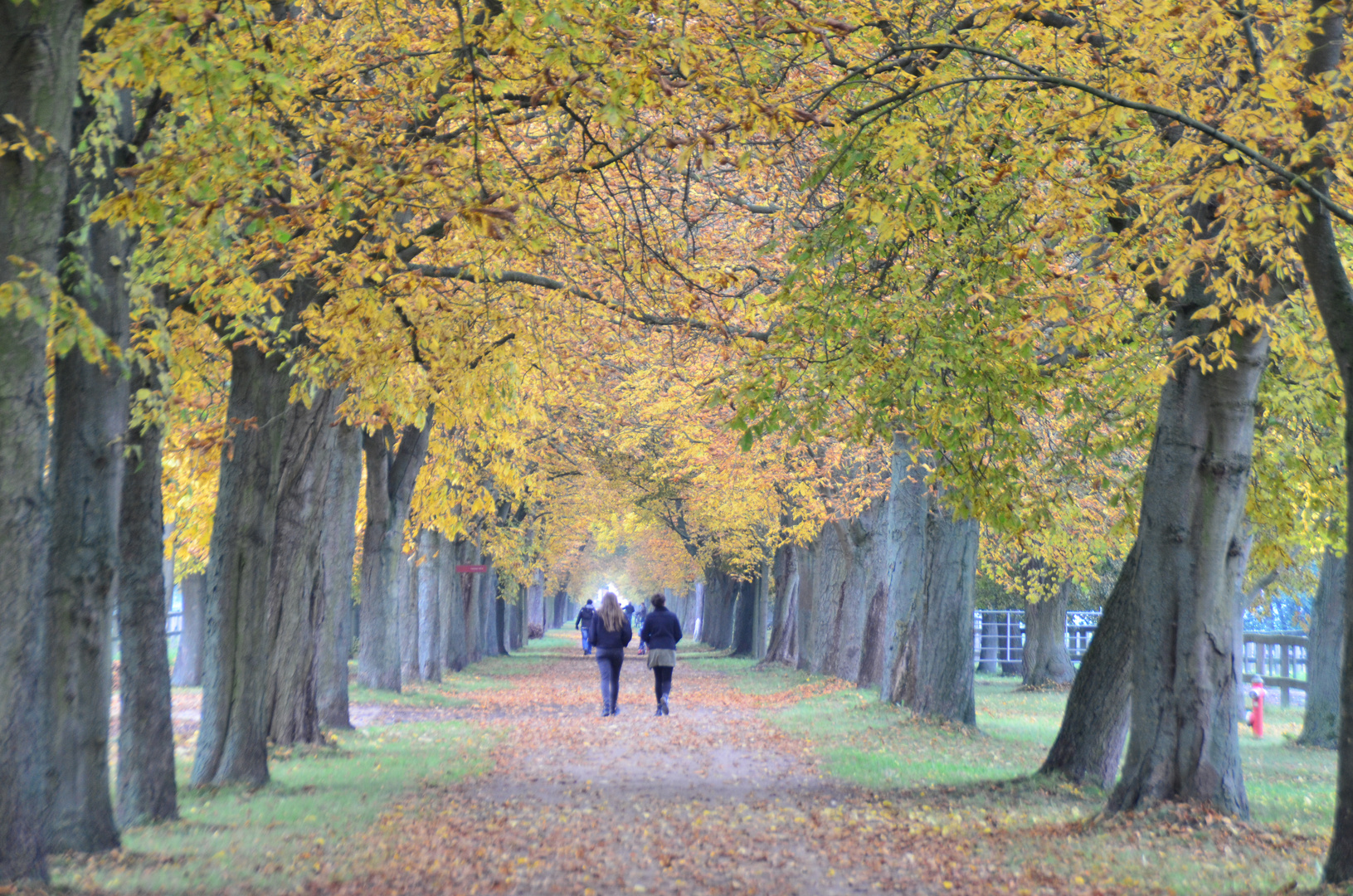 Sonntag Im Gestüt