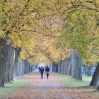 Sonntag Im Gestüt